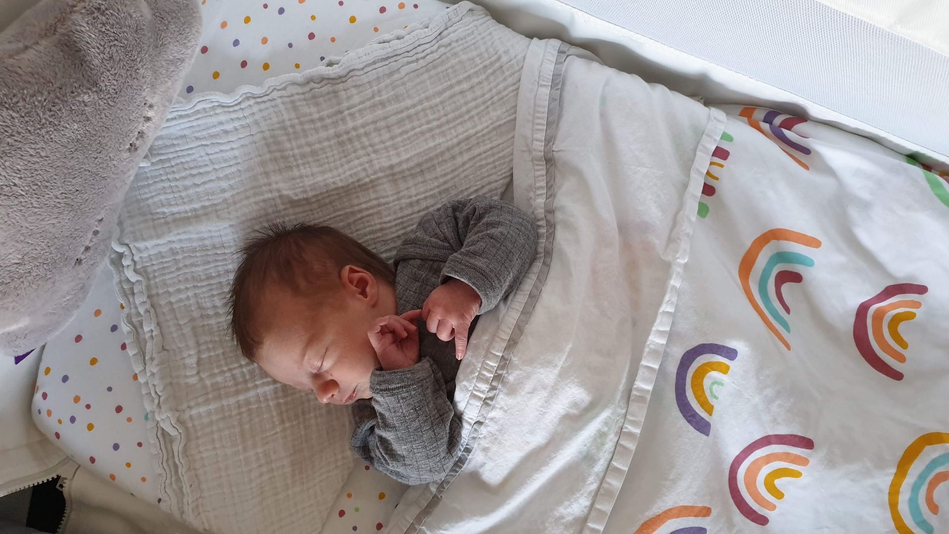 raket getuigenis Observatie De Snüzpod co-sleeper is een aanschuifwieg waarin je baby veilig bij je  slaapt | ikbenmama.nl